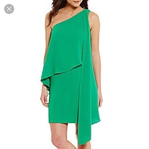Beautiful Kelly green Antonio Melani dress